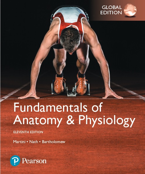 Fundamentals of Anatomy and Physiology